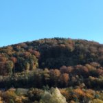 phoca_thumb_m_zmeck krteci 16 Fotogalerie